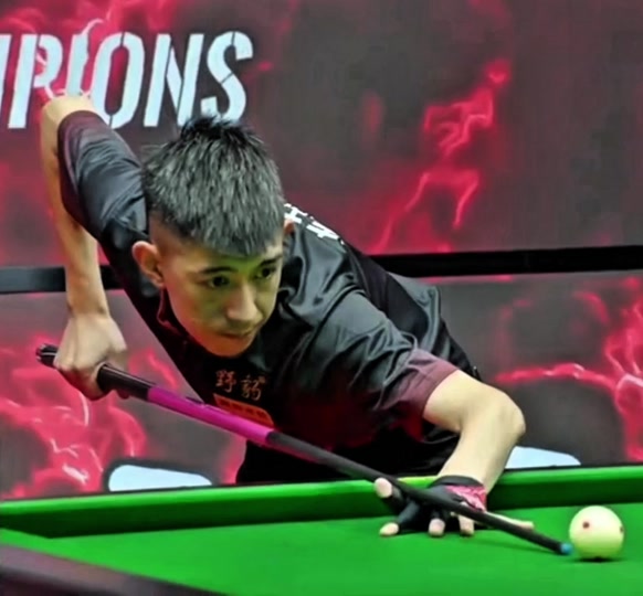 夺总冠军的 夺总冠军的