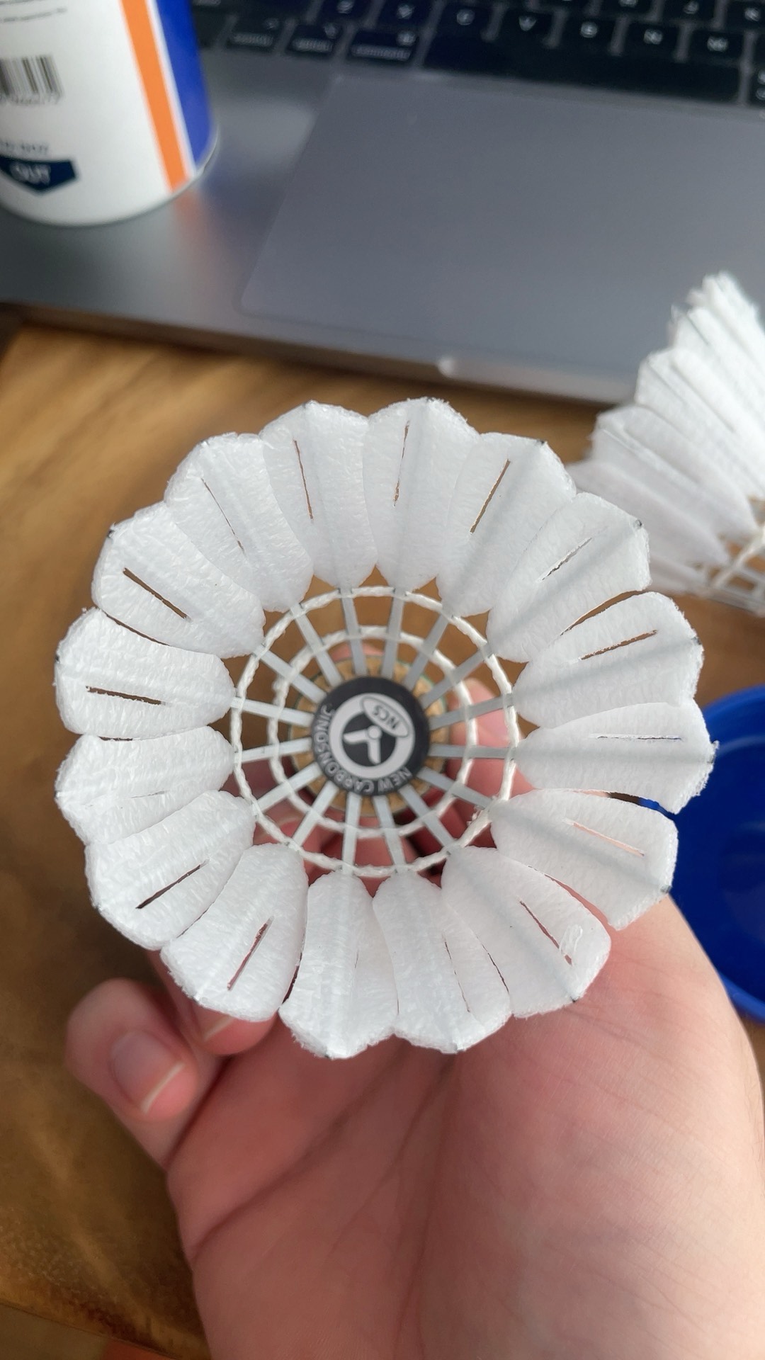 罗伯逊依靠 罗伯逊依靠